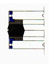 Gaxeta Embolo.gif
